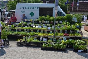 Sejem križani četrtek 10.05.2018 11